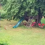 Beim Roessl Nossen