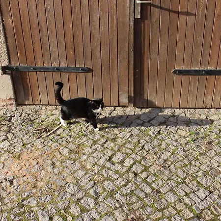 Beim Rößl *