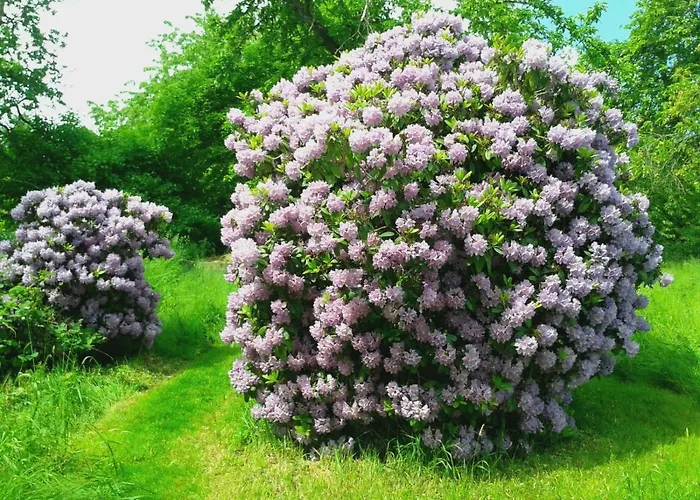 شقة Beim Roessl Nossen